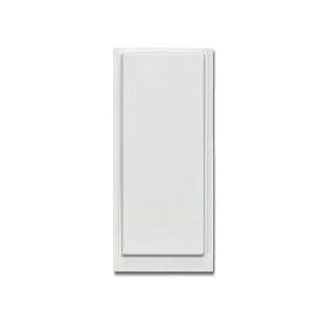 Panasonic FAS-4620 Kablosuz Ürünler İçin Baz İstasyonu, İzolatörlü